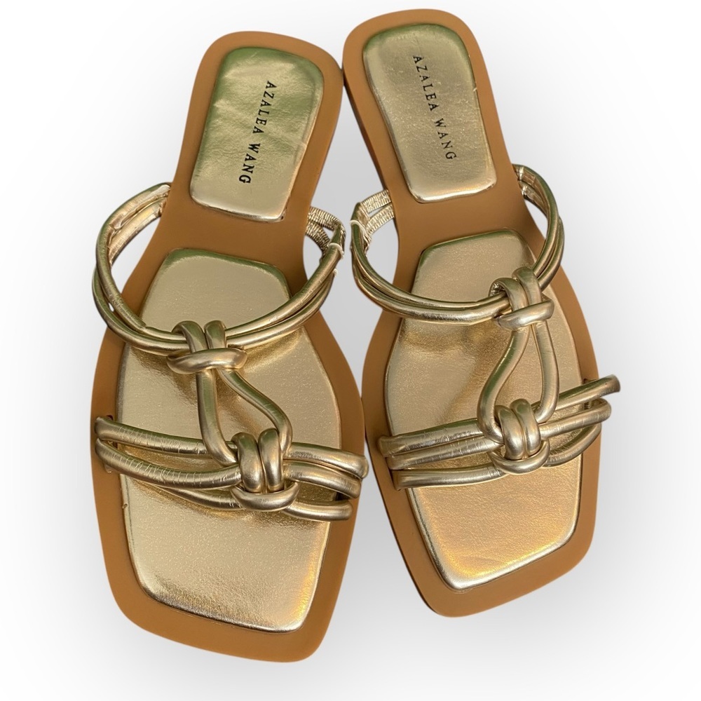 A11 Azalea‎ Wang Stetson